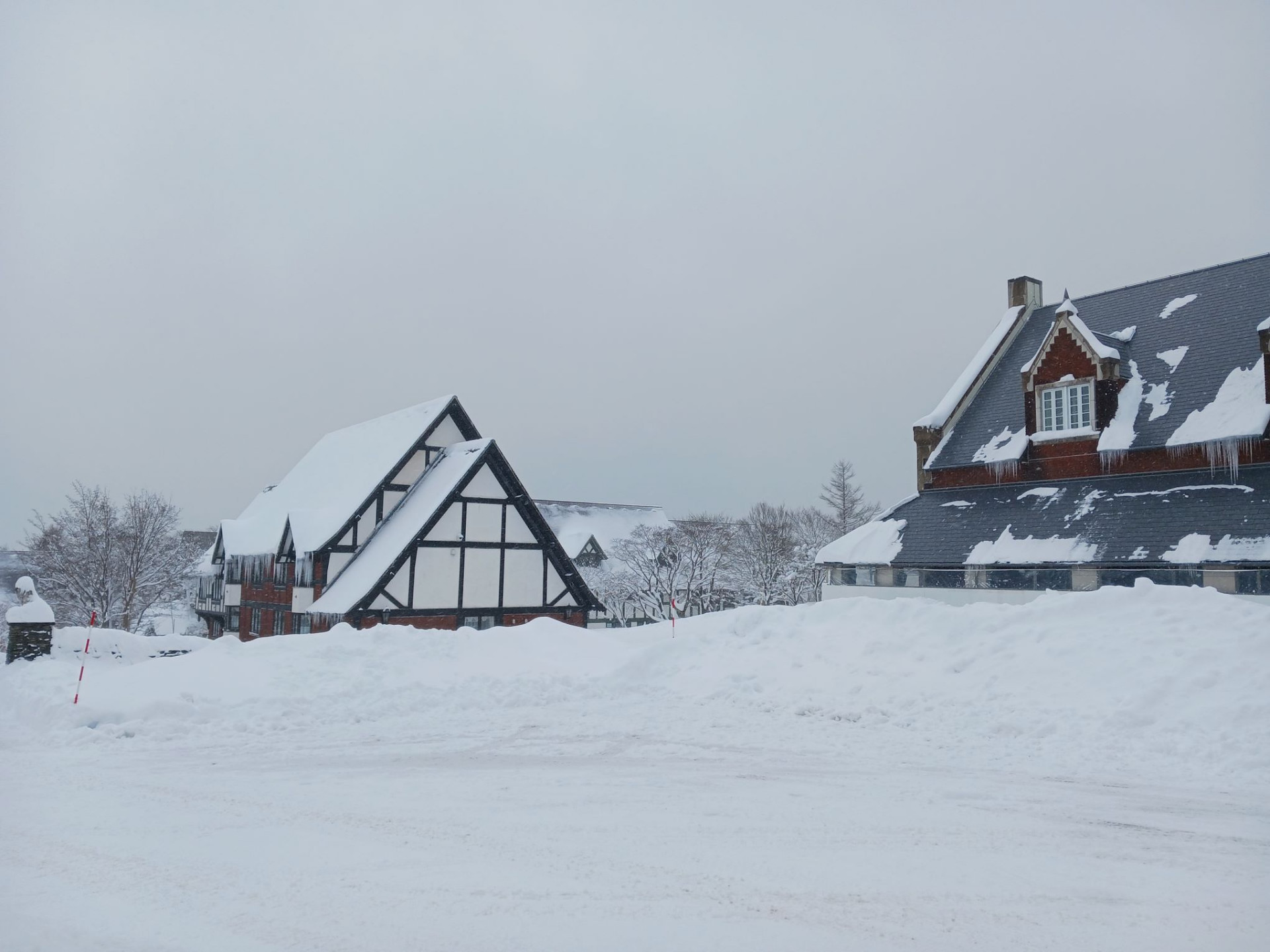 Snowy Scene